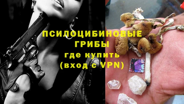 стафф Алексеевка