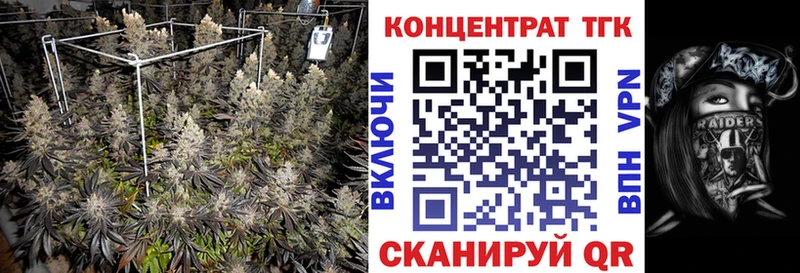 купить наркотик  Ноябрьск  Дистиллят ТГК Wax 